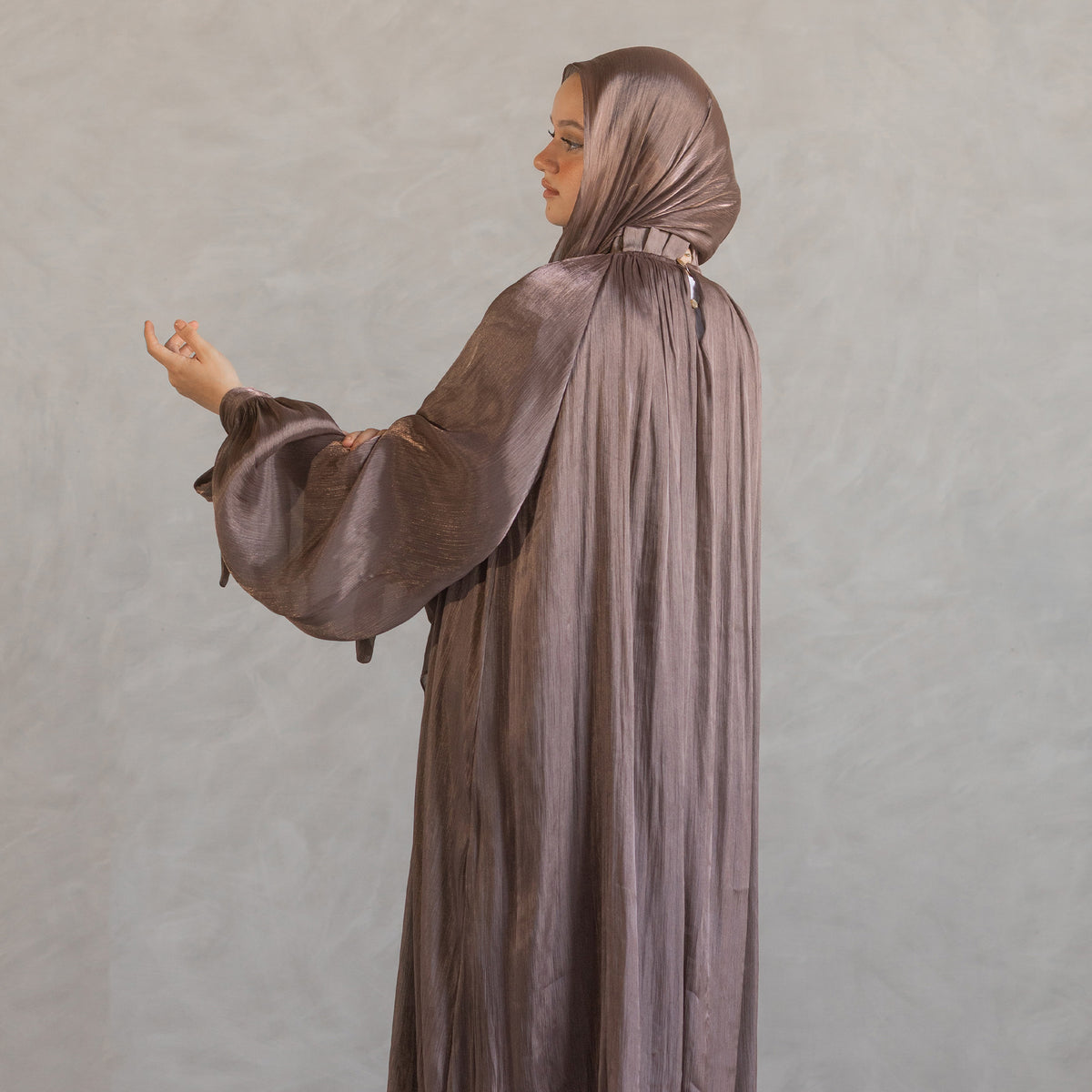 Aseel Dress in Brown